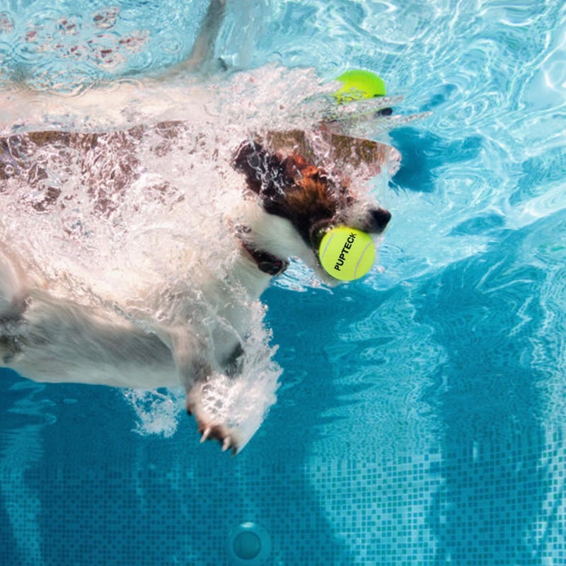 PUPTECK Squeaky Tennis Balls for Dogs, 2.5" Training Bouncy Ball Toys 12 Packs for Dogs Playing, Exercise and Fetch - Image 4